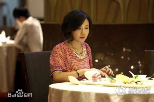 闫妮(NI YAN)《一仆二主》最新剧照