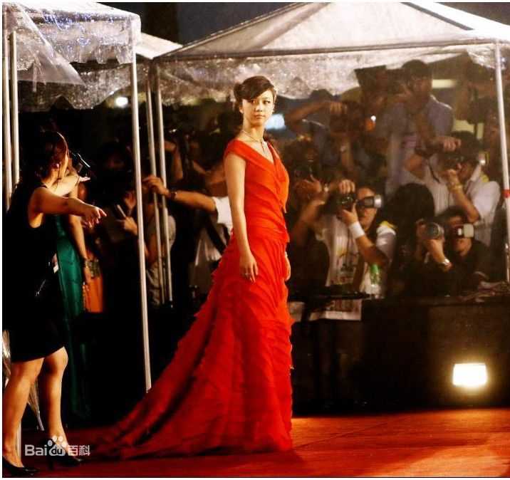 汤唯(Tang Wei)2011年第30届香港电影金像奖红毯照片图片图集