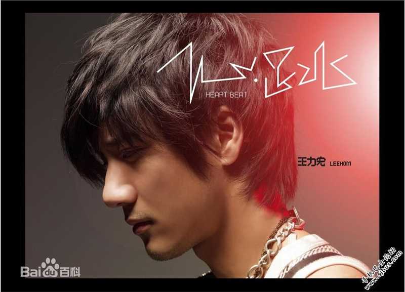 最优质王力宏(Leehom Wang)生活照