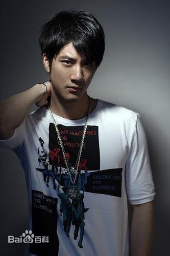 最优质王力宏(Leehom Wang)生活照