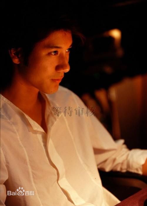 王力宏(Leehom Wang)参演电影作品生活照相册