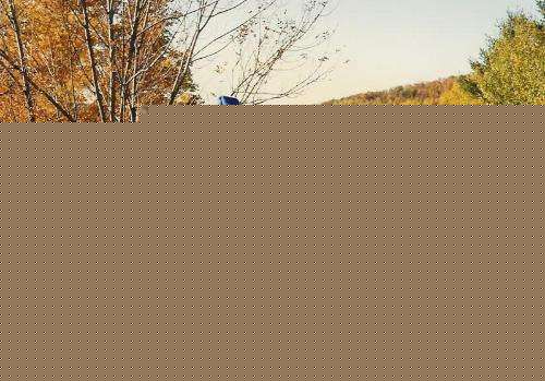 高清王力宏(Leehom Wang)图片