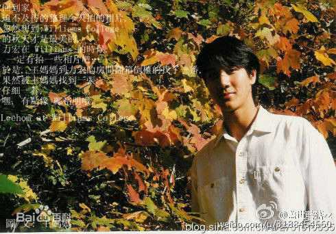 高清王力宏(Leehom Wang)图片