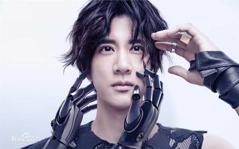精选王力宏(Leehom Wang)