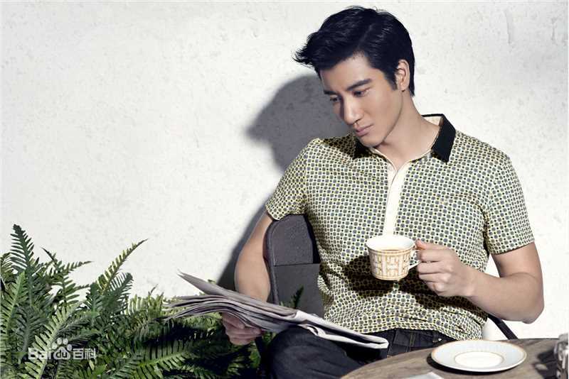 精选王力宏(Leehom Wang)