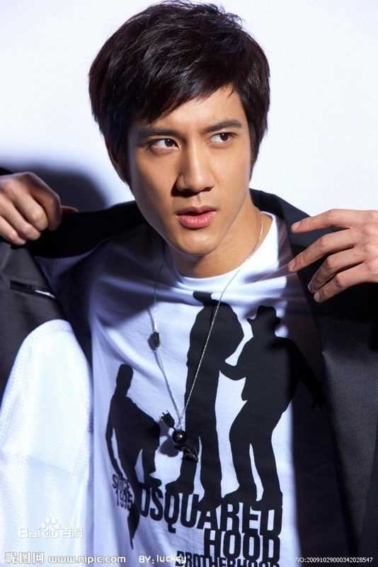 精选王力宏(Leehom Wang)