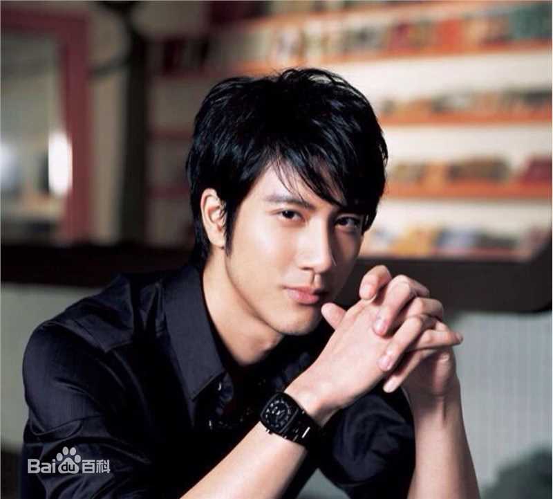 精选王力宏(Leehom Wang)
