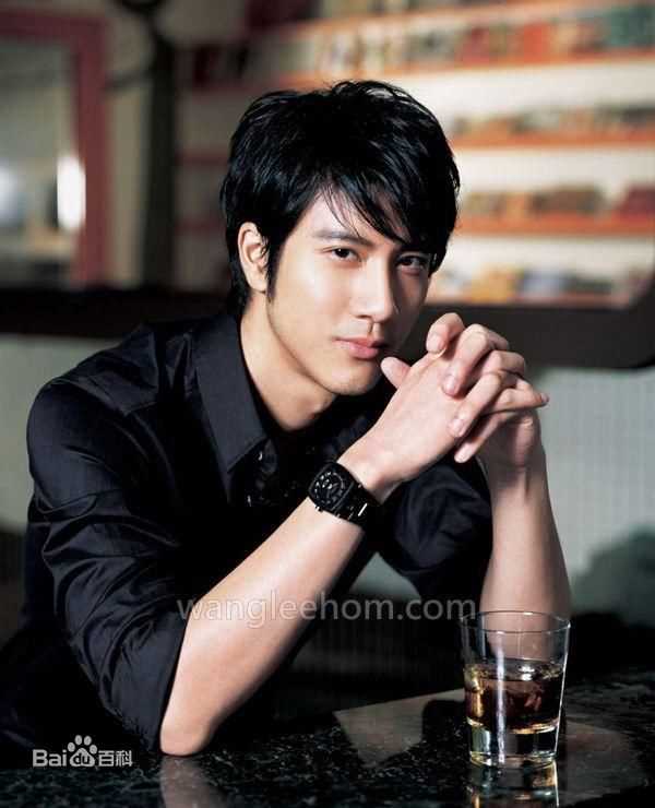 王力宏(Leehom Wang)精彩图册