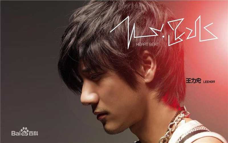 王力宏(Leehom Wang)精彩图册