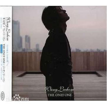 王力宏(Leehom Wang)精选音乐专辑封面图册