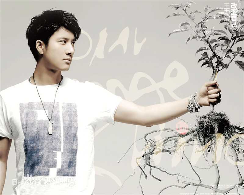 王力宏(Leehom Wang)精选音乐专辑封面图册