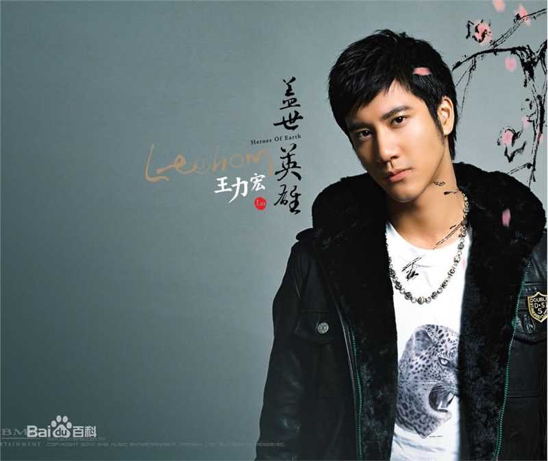 王力宏(Leehom Wang)精选音乐专辑封面图册