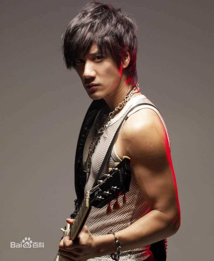 王力宏(Leehom Wang)精彩图册