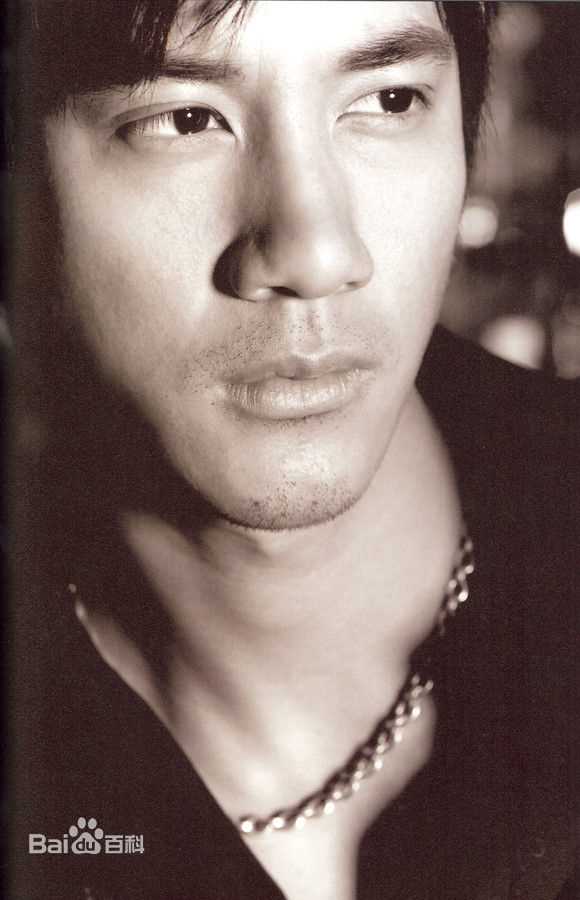 王力宏(Leehom Wang)精彩图册