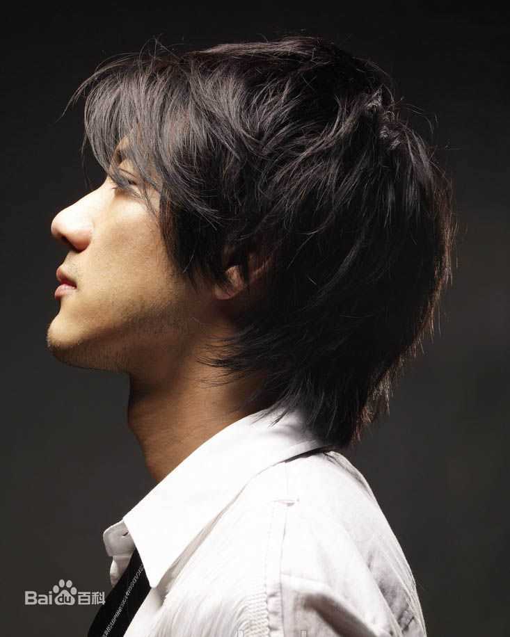 王力宏(Leehom Wang)精彩图册