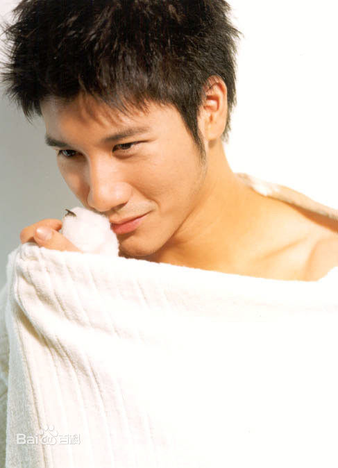 王力宏(Leehom Wang)精彩图册