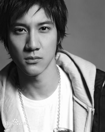 王力宏(Leehom Wang)精彩图册