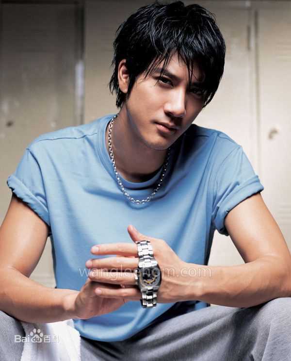 最全王力宏(Leehom Wang)精彩图册