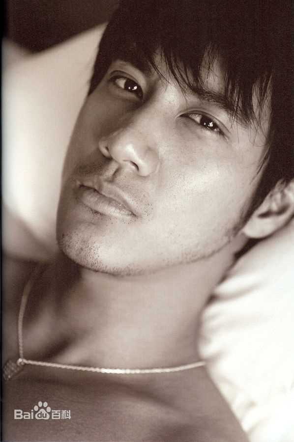最全王力宏(Leehom Wang)精彩图册