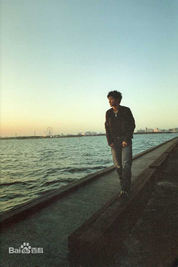 最全王力宏(Leehom Wang)精彩图册