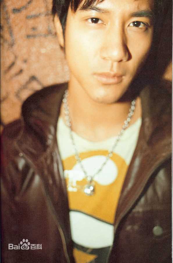 最全王力宏(Leehom Wang)精彩图册