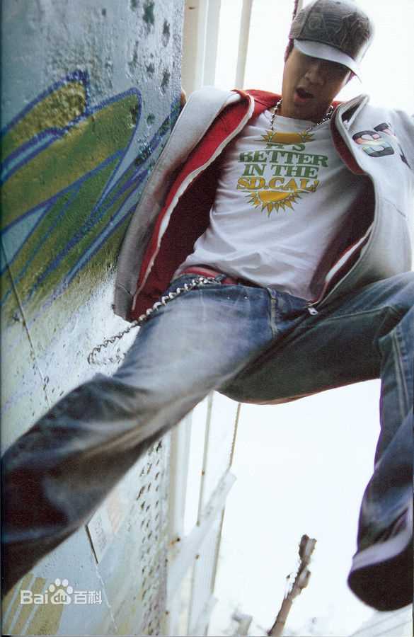 最全王力宏(Leehom Wang)精彩图册