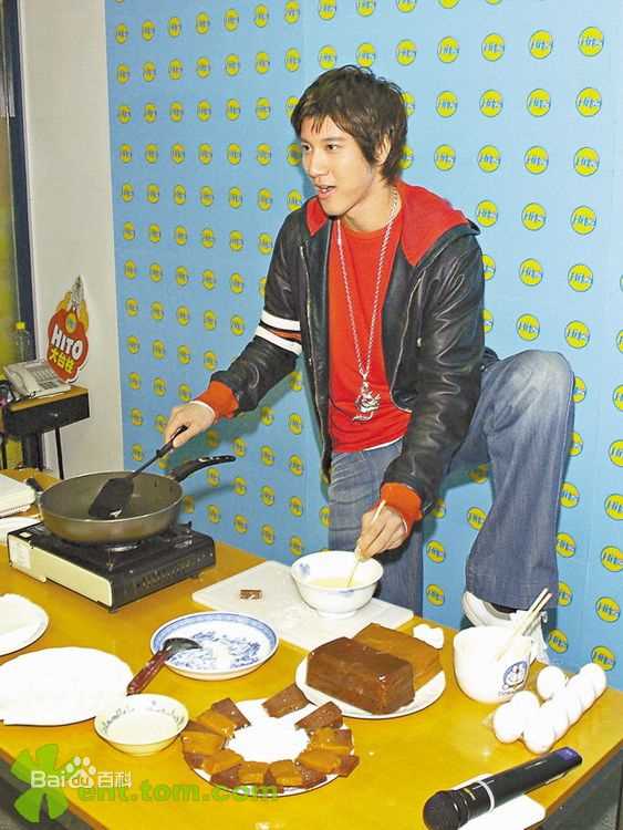 最优质王力宏(Leehom Wang)精彩图册