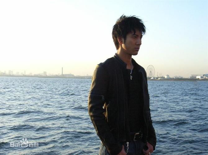 最优质王力宏(Leehom Wang)精彩图册