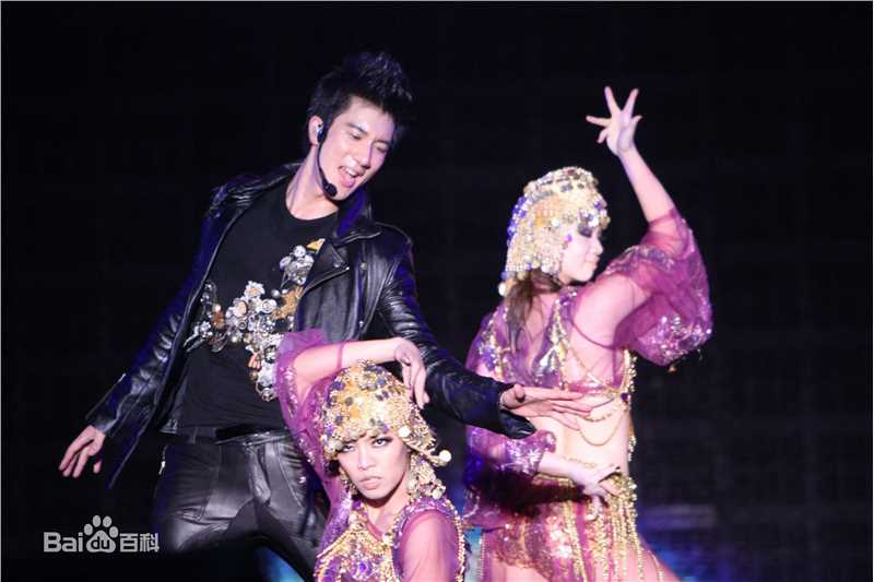 最优质王力宏(Leehom Wang)精彩图册