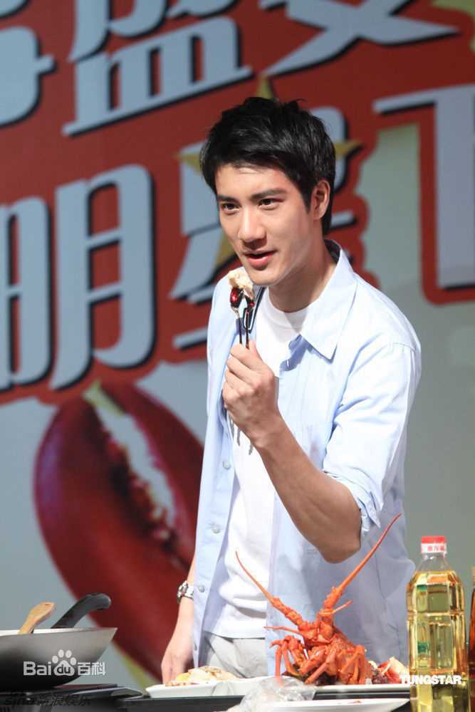 最优质王力宏(Leehom Wang)精彩图册