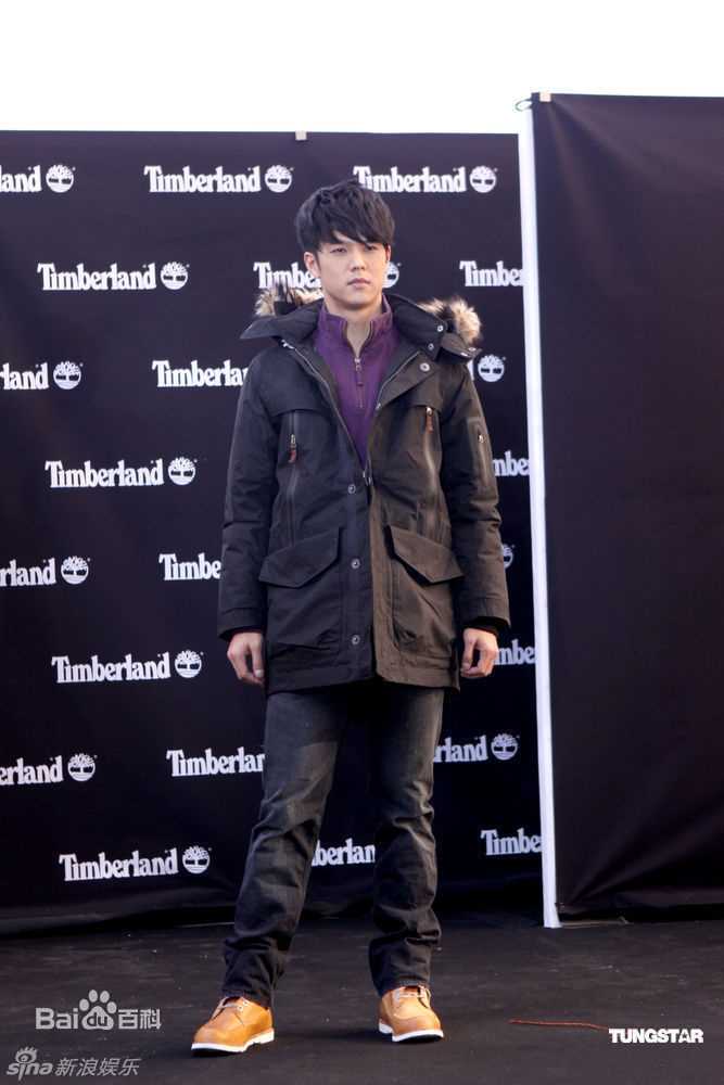 精选王力宏(Leehom Wang)精彩图册