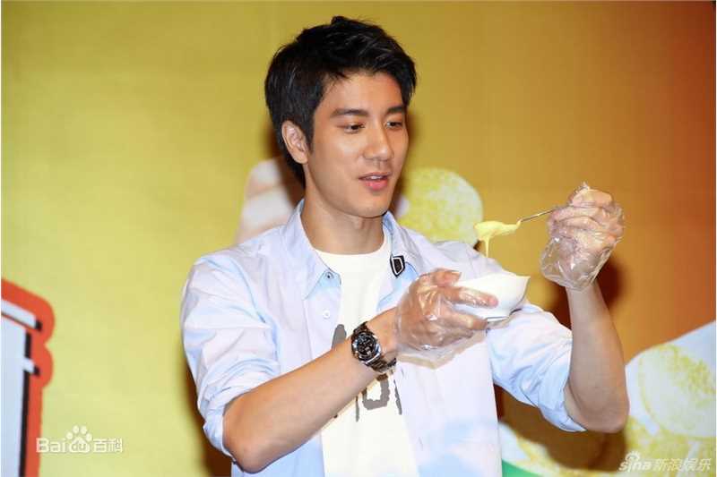 精选王力宏(Leehom Wang)精彩图册