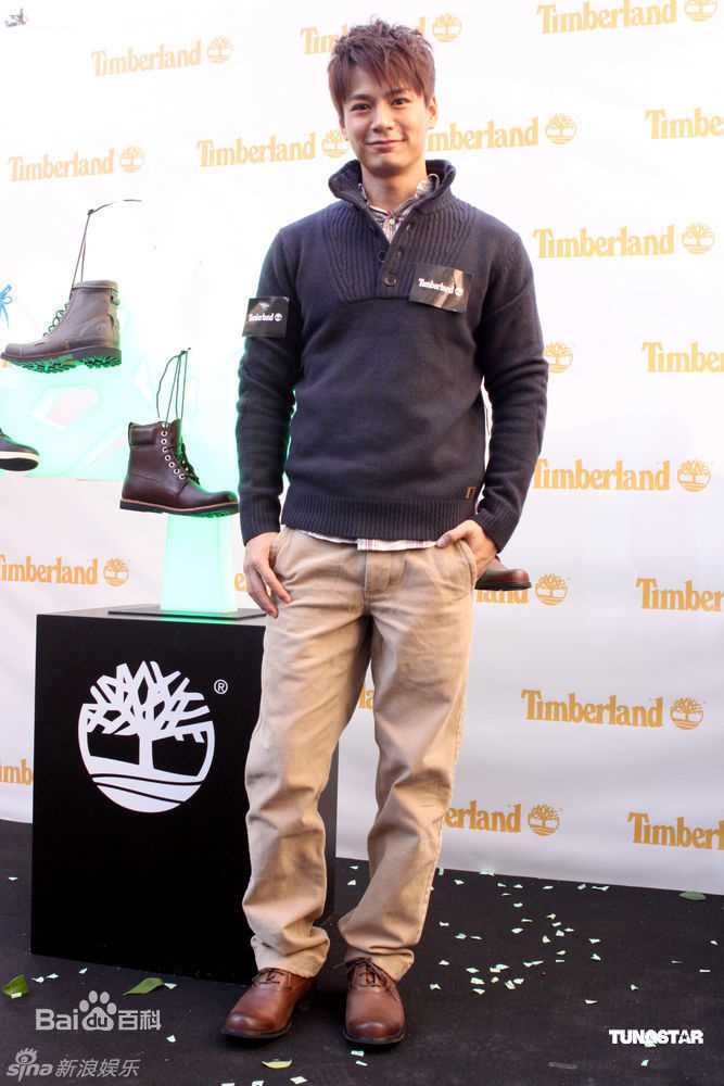 精选王力宏(Leehom Wang)精彩图册