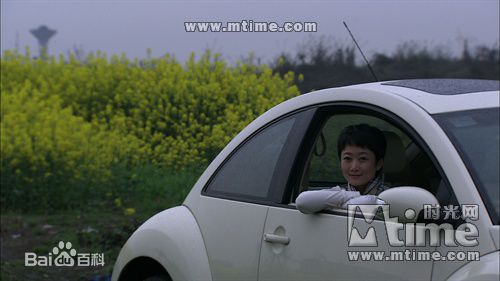 陈冲(Joan Chen)2008年《二十四城记》最全剧照