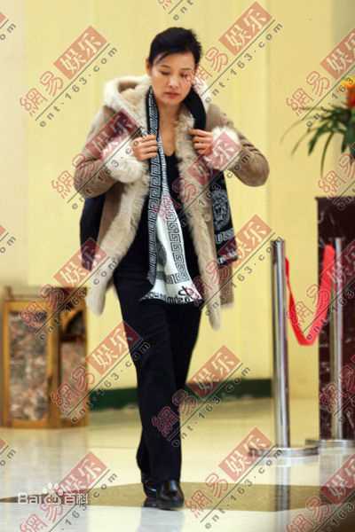 陈冲(Joan Chen)2009年《人到中年》高清剧照