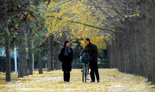 陈冲(Joan Chen)2009年《人到中年》高清剧照