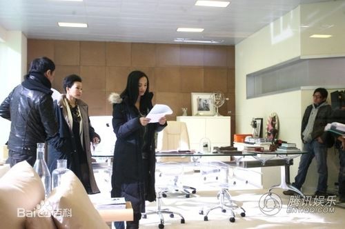 陈冲(Joan Chen)2010年《爱出色》高清剧照