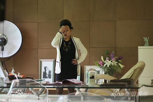 陈冲(Joan Chen)2010年《爱出色》高清剧照