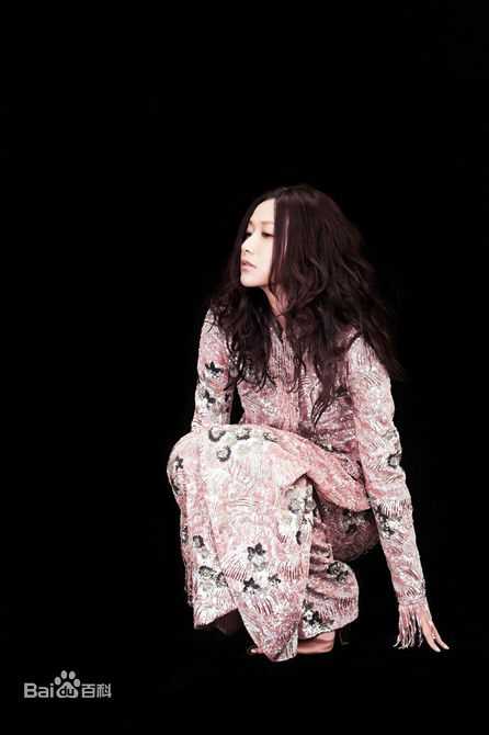 徐静蕾(Xu Jinglei)最优质杂志拍摄相册