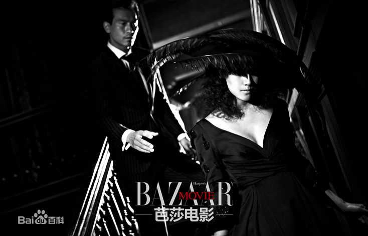 徐静蕾(Xu Jinglei)最优质杂志拍摄相册