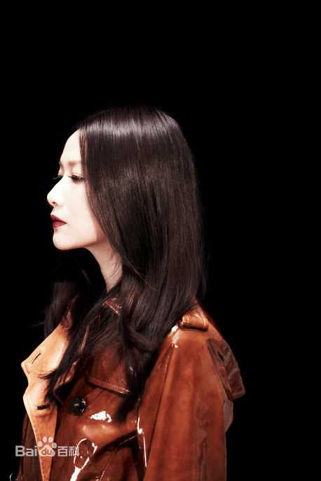 徐静蕾(Xu Jinglei)最优质杂志拍摄相册