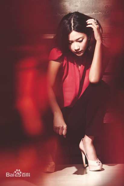 徐静蕾(Xu Jinglei)最优质杂志拍摄相册