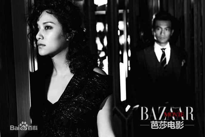 徐静蕾(Xu Jinglei)最优质杂志拍摄相册