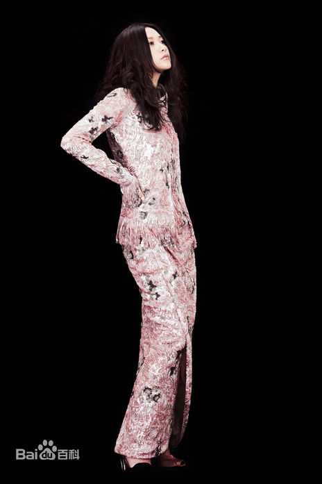 徐静蕾(Xu Jinglei)最优质杂志拍摄相册