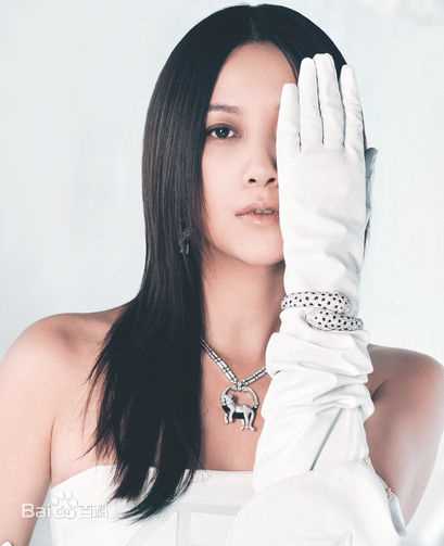 徐静蕾(Xu Jinglei)最优质杂志拍摄相册