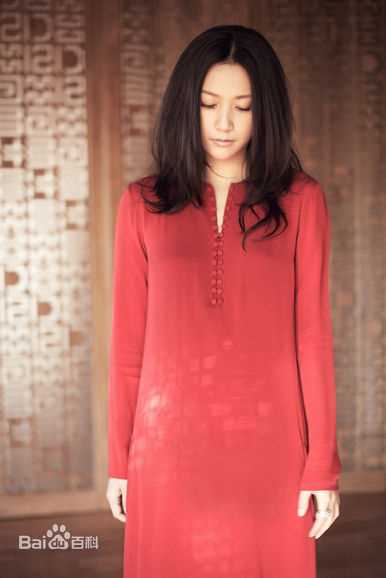 徐静蕾(Xu Jinglei)最优质杂志拍摄相册