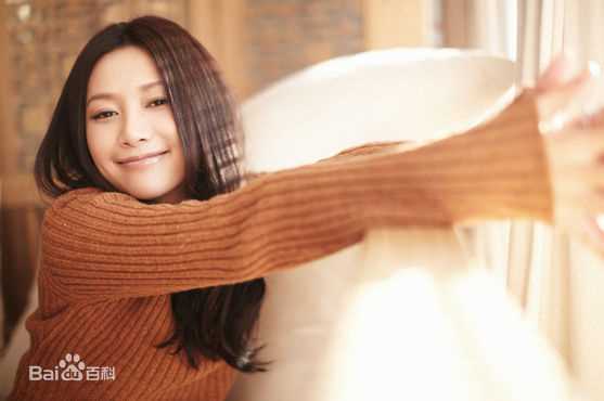 徐静蕾(Xu Jinglei)最优质杂志拍摄相册