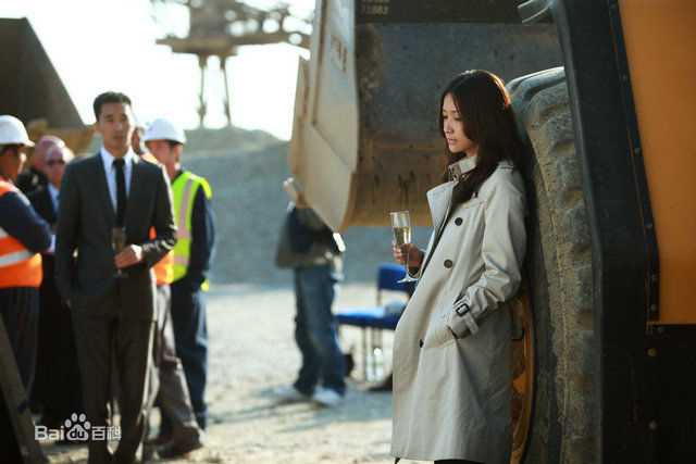 徐静蕾(Xu Jinglei)电影图片图册