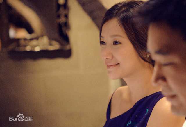 徐静蕾(Xu Jinglei)电影图片图册