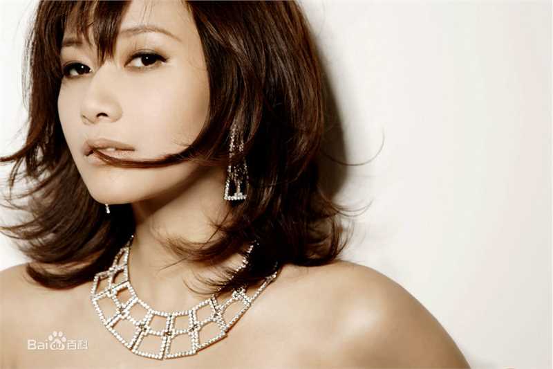 徐静蕾(Xu Jinglei)